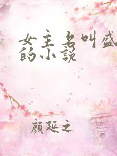 女主名叫盛安宁的小说