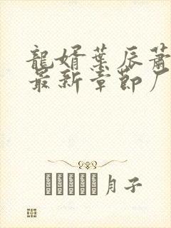 龙婿叶辰萧初然最新章节厂