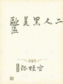 欧美黑人二区三区