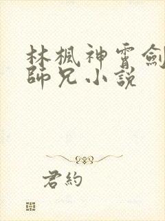 林枫神霄剑宗大师兄小说