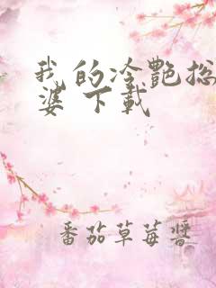 我的冷艳总裁老婆 下载