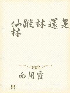 仙踪林还是仙踪林