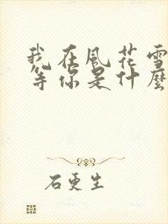 我在风花雪月里等你是什么