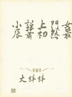 小说上门女婿叶辰萧初然最新篇章