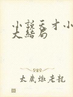 小说天才小毒妃大结局