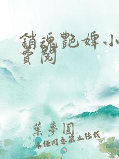 销魂艳婢小说免费阅