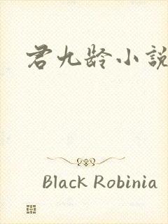 君九龄小说希行