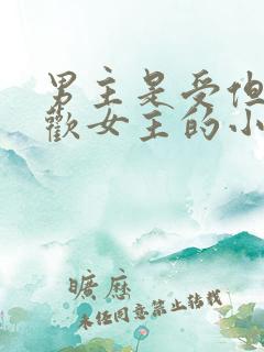 男主是受但是喜欢女主的小说