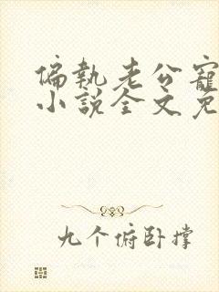 偏执老公宠上瘾小说全文免费阅读