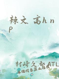 辣文 高h np