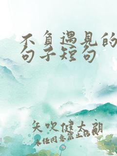 不负遇见的唯美句子短句