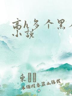 高h多个黑人的小说