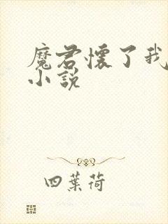 魔君怀了我的崽小说