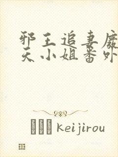 邪王追妻废材逆天小姐番外篇