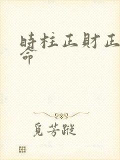 时柱正财正官男命