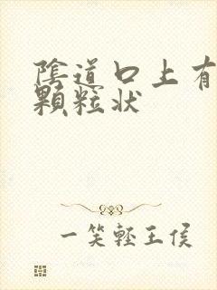 阴道口上有白色颗粒状