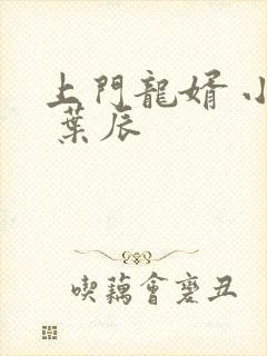 上门龙婿 小说 叶辰