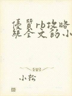 优质rb攻略系统全文的小说