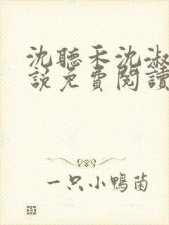 沈听禾沈淑晴小说免费阅读最新章节