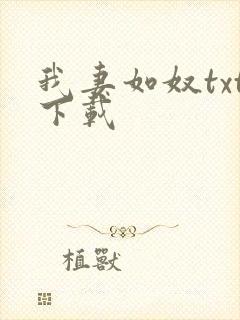 我妻如奴txt下载