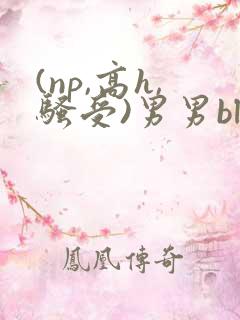 (np,高h,骚受)男男bl
