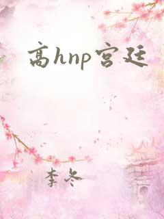 高hnp宫廷