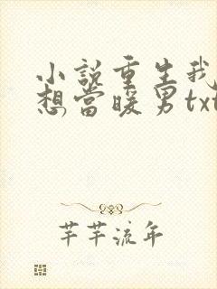 小说重生我真没想当暖男txt