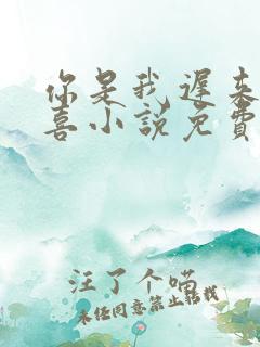 你是我迟来的欢喜小说免费阅读