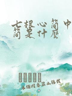 七根心简中的心简是什么