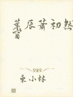 叶辰萧初然无弹窗