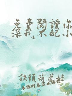 免费阅读你的情深我不配小说