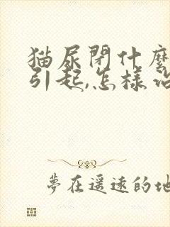 猫尿闭什么原因引起,怎样治疗