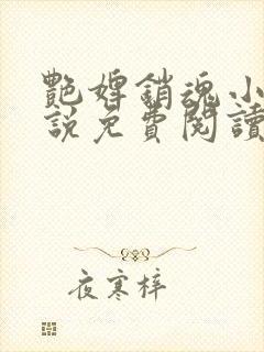 艳婢销魂小桃小说免费阅读