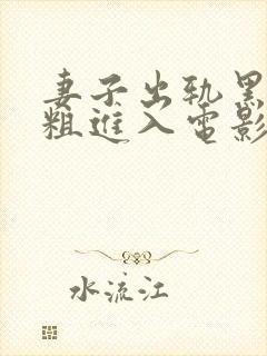 妻子出轨黑人巨粗进入电影