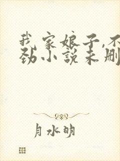 我家娘子,不对劲小说未删版