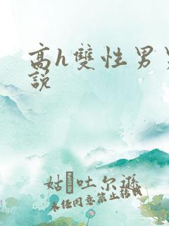 高h双性男男小说