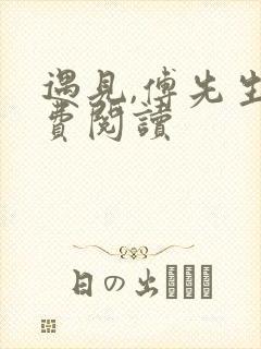 遇见,傅先生免费阅读