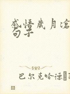 感悟岁月沧桑的句子