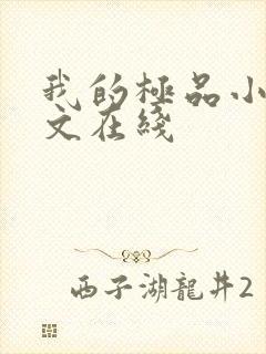 我的极品小姨全文在线