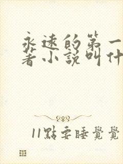 永远的第一名原著小说叫什么