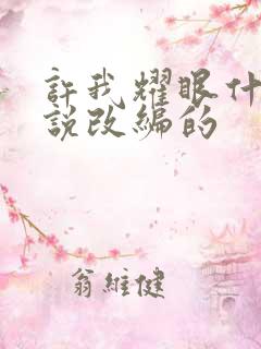 许我耀眼什么小说改编的