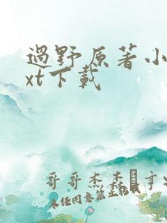 过野原著小说txt下载