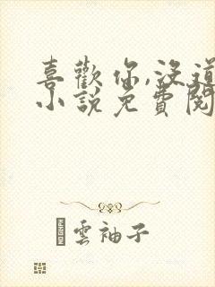 喜欢你,没道理小说免费阅读