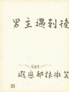 男主遇到后宫
