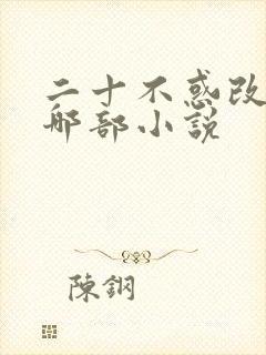 二十不惑改编自哪部小说