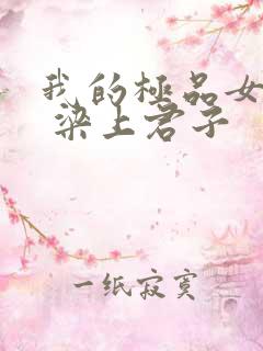 我的极品女上司 梁上君子