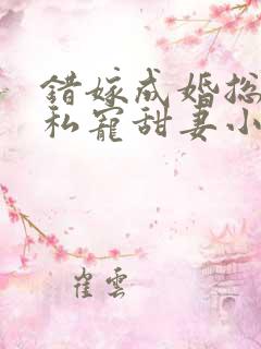 错嫁成婚总裁的私宠甜妻小说