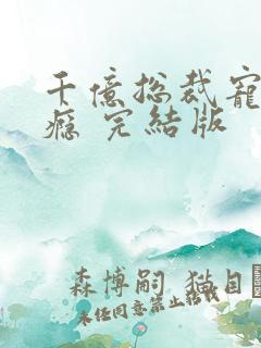 千亿总裁宠妻上瘾 完结版