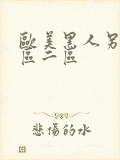 欧美黑人另类一区二区