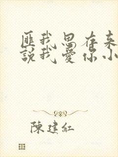 匪我思存来不及说我爱你小说全文免费阅读